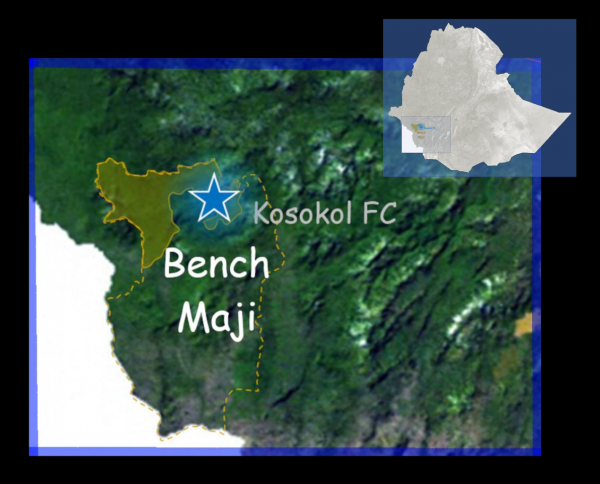 Bench Maji natural - Afbeelding 3