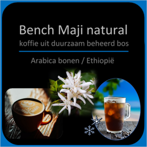 Bench Maji natural