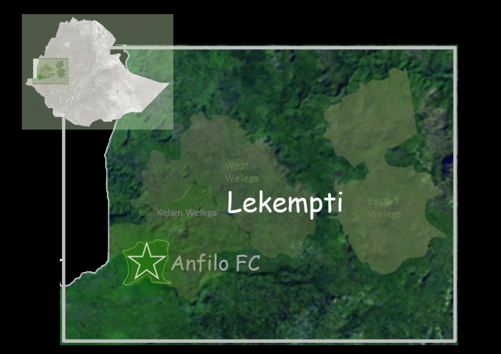 Lekempti natural - Sheba Coffee