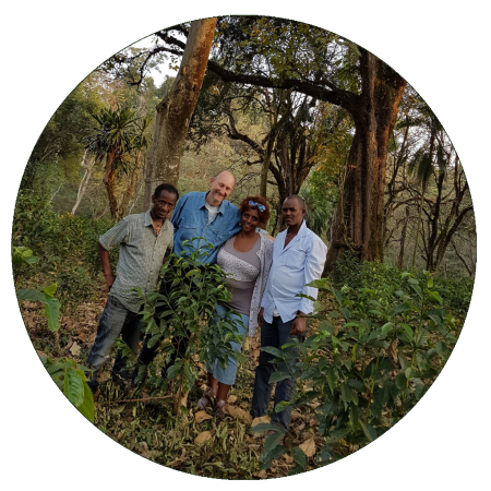 coffee forest-tree-shaded ecosystem